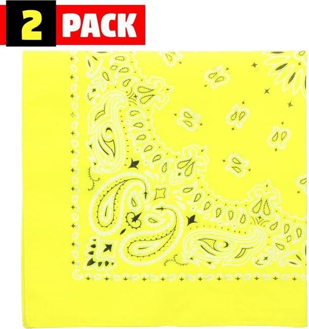 Trainmen Paisley Bandana Head Scarf Do-rag 100% Cotton Bandanna Cover 22" x 22", 2 Pack