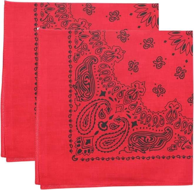 Trainmen Paisley Bandana Head Scarf Do-rag 100% Cotton Bandanna Cover 22" x 22", 2 Pack