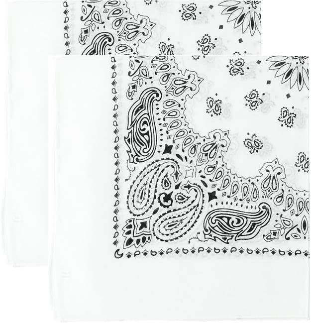 Trainmen Paisley Bandana Head Scarf Do-rag 100% Cotton Bandanna Cover 22" x 22", 2 Pack