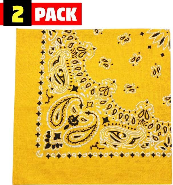 Trainmen Paisley Bandana Head Scarf Do-rag 100% Cotton Bandanna Cover 22" x 22", 2 Pack