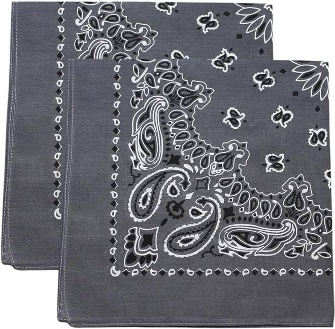Trainmen Paisley Bandana Head Scarf Do-rag 100% Cotton Bandanna Cover 22" x 22", 2 Pack