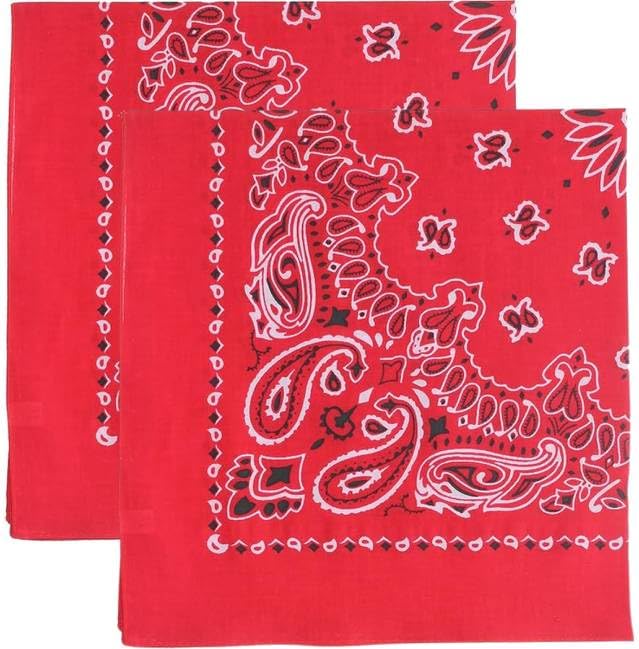 Trainmen Paisley Bandana Head Scarf Do-rag 100% Cotton Bandanna Cover 22" x 22", 2 Pack