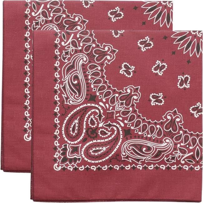 Trainmen Paisley Bandana Head Scarf Do-rag 100% Cotton Bandanna Cover 22" x 22", 2 Pack