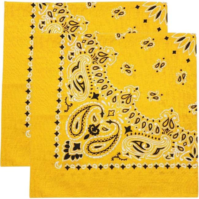 Trainmen Paisley Bandana Head Scarf Do-rag 100% Cotton Bandanna Cover 22" x 22", 2 Pack