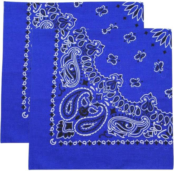 Trainmen Paisley Bandana Head Scarf Do-rag 100% Cotton Bandanna Cover 22" x 22", 2 Pack