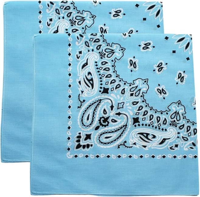 Trainmen Paisley Bandana Head Scarf Do-rag 100% Cotton Bandanna Cover 22" x 22", 2 Pack