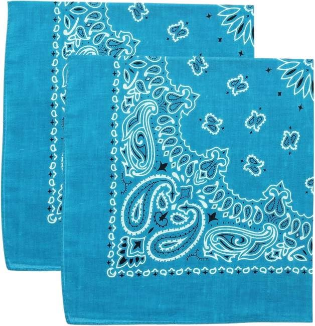 Trainmen Paisley Bandana Head Scarf Do-rag 100% Cotton Bandanna Cover 22" x 22", 2 Pack