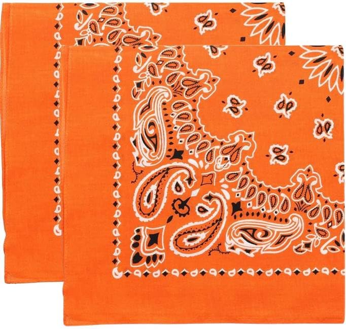 Trainmen Paisley Bandana Head Scarf Do-rag 100% Cotton Bandanna Cover 22" x 22", 2 Pack