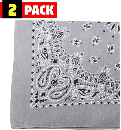 Trainmen Paisley Bandana Head Scarf Do-rag 100% Cotton Bandanna Cover 22" x 22", 2 Pack