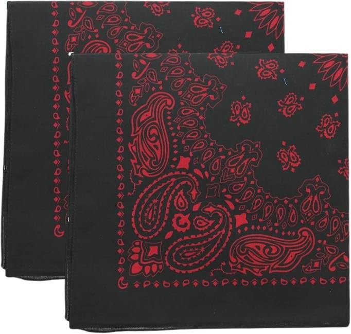 Trainmen Paisley Bandana Head Scarf Do-rag 100% Cotton Bandanna Cover 22" x 22", 2 Pack