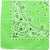 Trainmen Paisley Bandanas Scarf Do-rag Cotton Biker Head Rags Classic Bandanna 22
