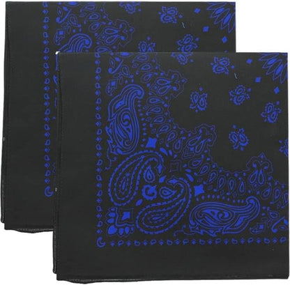 Trainmen Paisley Bandana Head Scarf Do-rag 100% Cotton Bandanna Cover 22" x 22", 2 Pack