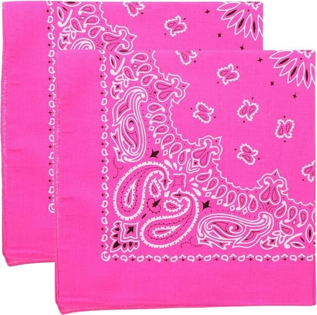 Trainmen Paisley Bandana Head Scarf Do-rag 100% Cotton Bandanna Cover 22" x 22", 2 Pack