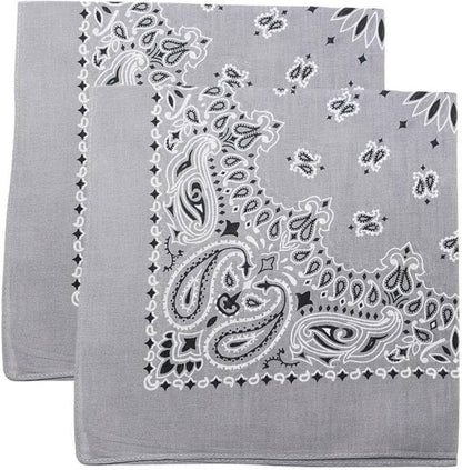 Trainmen Paisley Bandana Head Scarf Do-rag 100% Cotton Bandanna Cover 22" x 22", 2 Pack