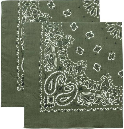 Trainmen Paisley Bandana Head Scarf Do-rag 100% Cotton Bandanna Cover 22" x 22", 2 Pack