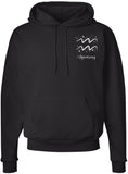 Zodiac Signs Embroidered Hoodie Sweatshirt | Horoscope Month Symbols Astrology Designs Hooded Pullover, Black
