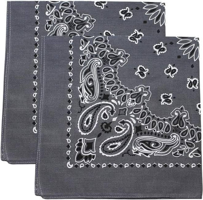 Trainmen Paisley Bandana Head Scarf Do-rag 100% Cotton Bandanna Cover 22" x 22", 2 Pack