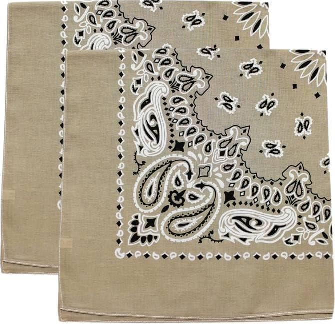 Trainmen Paisley Bandana Head Scarf Do-rag 100% Cotton Bandanna Cover 22" x 22", 2 Pack