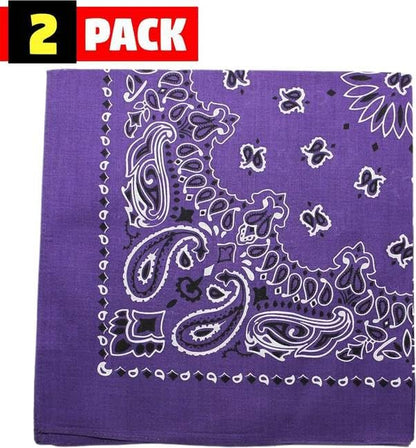 Trainmen Paisley Bandana Head Scarf Do-rag 100% Cotton Bandanna Cover 22" x 22", 2 Pack