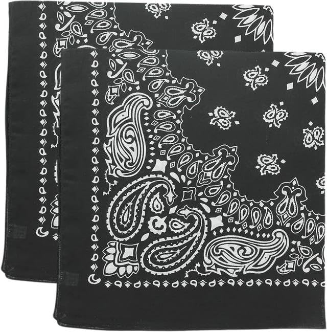 Trainmen Paisley Bandana Head Scarf Do-rag 100% Cotton Bandanna Cover 22" x 22", 2 Pack