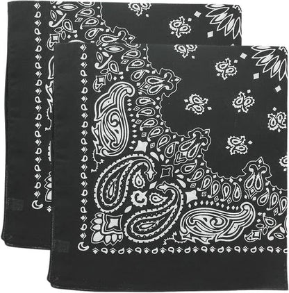 Trainmen Paisley Bandana Head Scarf Do-rag 100% Cotton Bandanna Cover 22" x 22", 2 Pack