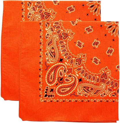 Trainmen Paisley Bandana Head Scarf Do-rag 100% Cotton Bandanna Cover 22" x 22", 2 Pack