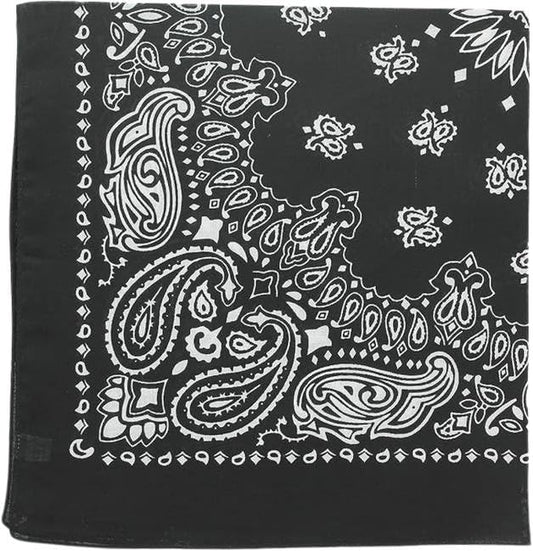 Trainmen Paisley Bandanas Scarf Do-rag Cotton Biker Head Rags Classic Bandanna 22" x 22" (12 Pack)