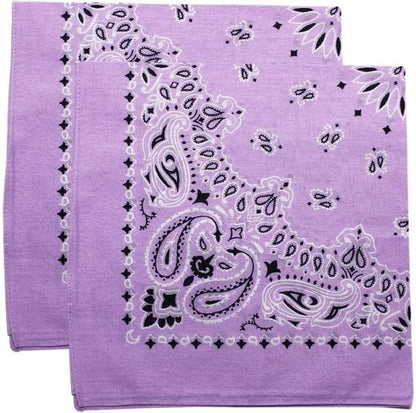 Trainmen Paisley Bandana Head Scarf Do-rag 100% Cotton Bandanna Cover 22" x 22", 2 Pack