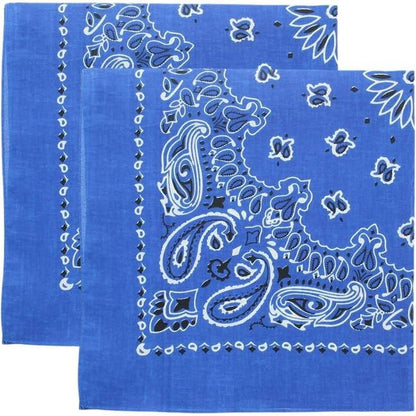 Trainmen Paisley Bandana Head Scarf Do-rag 100% Cotton Bandanna Cover 22" x 22", 2 Pack