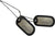 US Military Dog Tag Set - ID Matte Metal ID Dog Tags Necklace Complete Set with 2 Chains and 2 Silencers