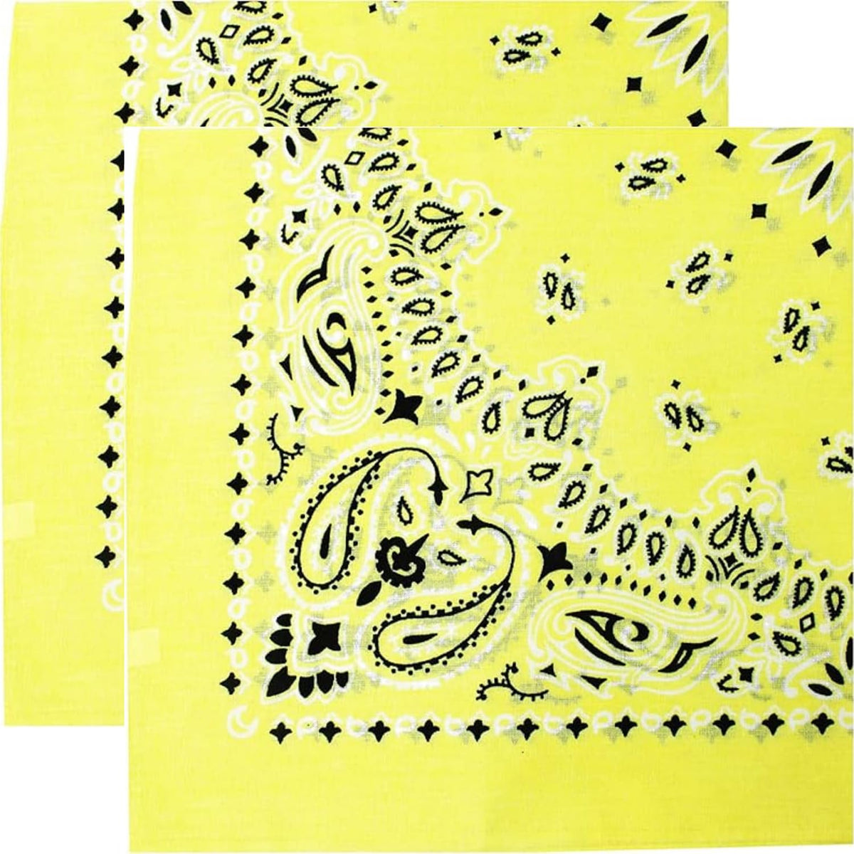 Trainmen Paisley Bandana Head Scarf Do-rag 100% Cotton Bandanna Cover 22" x 22", 2 Pack