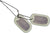 US Military Dog Tag Set - ID Matte Metal ID Dog Tags Necklace Complete Set with 2 Chains and 2 Silencers