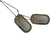 US Military Dog Tag Set - ID Matte Metal ID Dog Tags Necklace Complete Set with 2 Chains and 2 Silencers