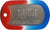 US Military Dog Tag Set - ID Matte Metal ID Dog Tags Necklace Complete Set with 2 Chains and 2 Silencers