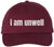 I Am Unwell Embroidered Dad Hat Relatable Meme Minimalist Baseball Cap
