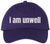 I Am Unwell Embroidered Dad Hat Relatable Meme Minimalist Baseball Cap