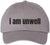 I Am Unwell Embroidered Dad Hat Relatable Meme Minimalist Baseball Cap