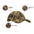 Multicam Camouflage - Low Profile Tactical Cap