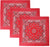 Trainmen Paisley 27