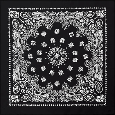 Black & White - Trainmen Paisley Bandana, 100% Cotton, 22" x 22"